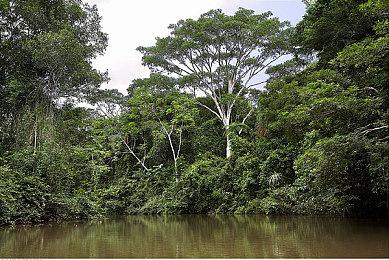 新突破！我国压力最高深水井完成钻井作业